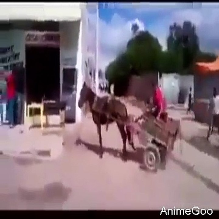FunnyMoment 5