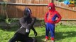 Spiderman vs Venom Arm Wrestling challenge! Marvel Superheroes Full Fight in Real Life!-3rb_UOA-TJ0