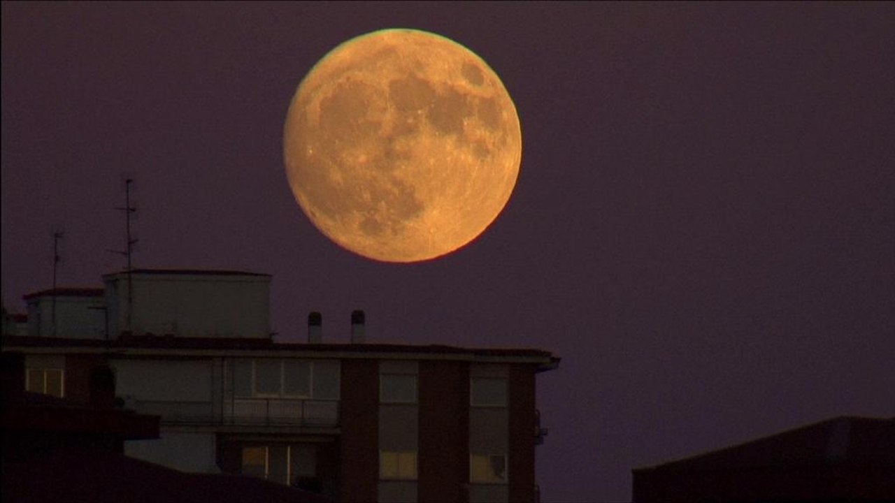 Spektakel für beobachter: supermond leuchtet am himmel