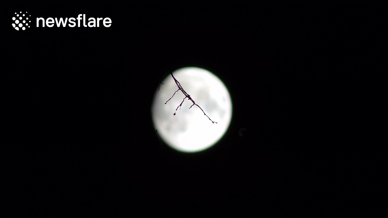 Beautiful moon over Scottish highlands just prior to the Supermoon on 14/11/2016