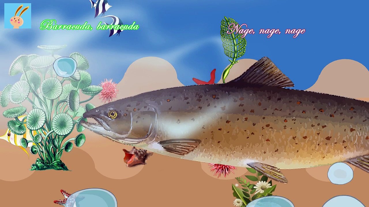 "La belle pieuvre  et le petit poisson" (glou glou glou )/ Chanson pour enfants