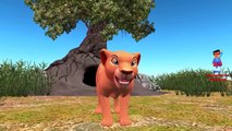Finger Family Lion Cartoon Nursery Rhymes | Lions 3D Action Rhymes for Babies