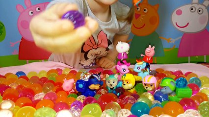 НАСТЮШИК с гигантскими шариками ORBEEZ.Выращиваем шарики орбиз. Щенячий патруль.Собачка Скай Эверест