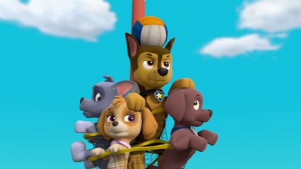 Paw Patrol : La Pat' Patrouille | Le match de volley | NICKELODEON JUNIOR