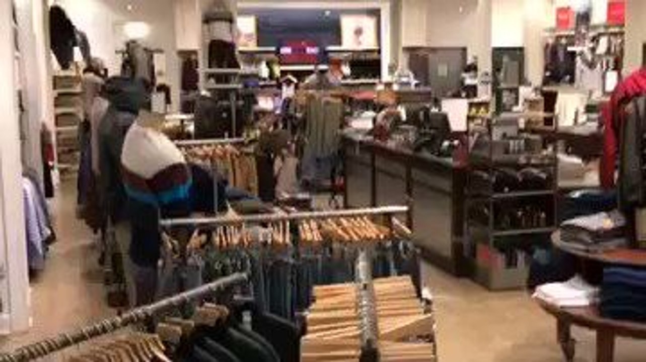 Un cerf sort d'une boutique par la vitrine