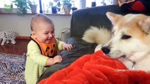 Adorable Babies talking to their best friends - the dogs - it's like music
