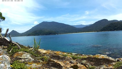 Ultra HD, 2,7k, mergulho, apneia, contemplativa, Ubatuba, Marcelo Ambrogi, natureza submarina, pesquisa de peixes e corais da costa do Litoral Norte, SP, Brasil, novembro, 2016, (47)