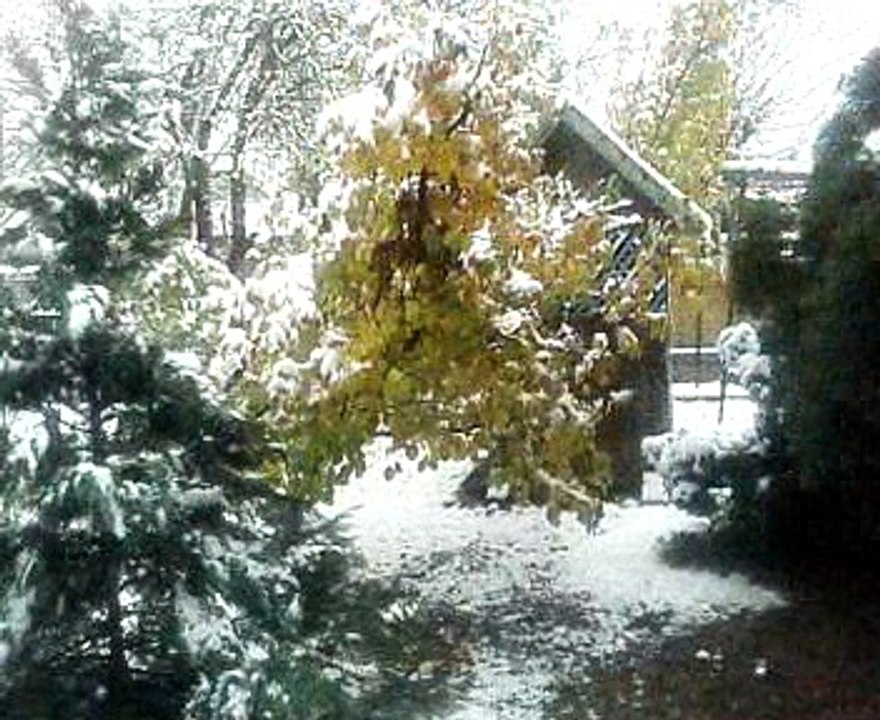 Mălini - 14 Noiembrie/2016