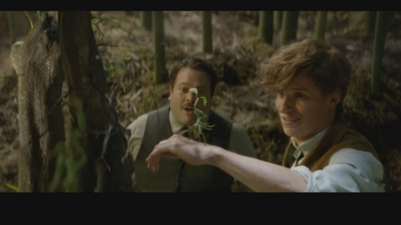 Jetzt im Kino: 'Phantastische Tierwesen' von J.K. Rowling