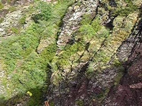 SAUT A L ELASTIQUE PONT DE LA MARIEE