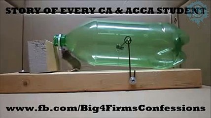 Story of Every CA & ACCA Student