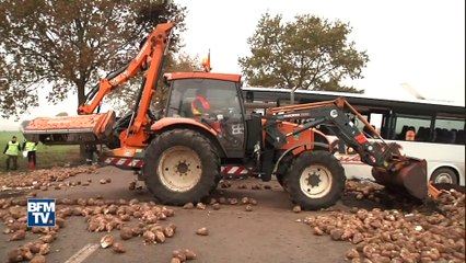 Ce que l'on sait de l'accident entre un car scolaire et un poids lourd près d'Arras