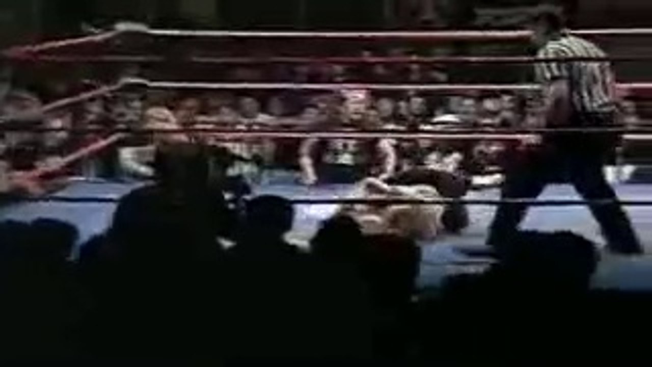 WWE Divas bra and panty removal Match - Must Watch