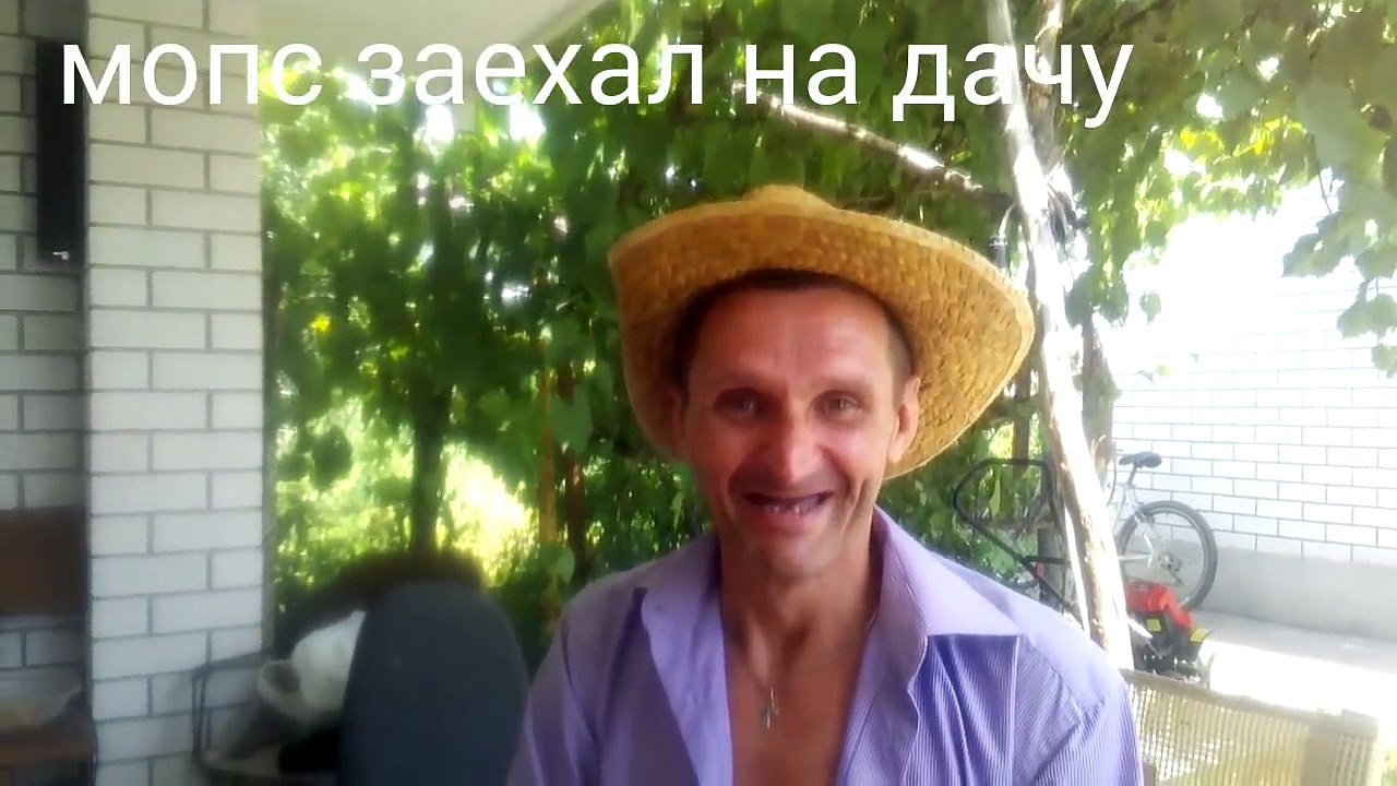 Мопс заехал на дачу