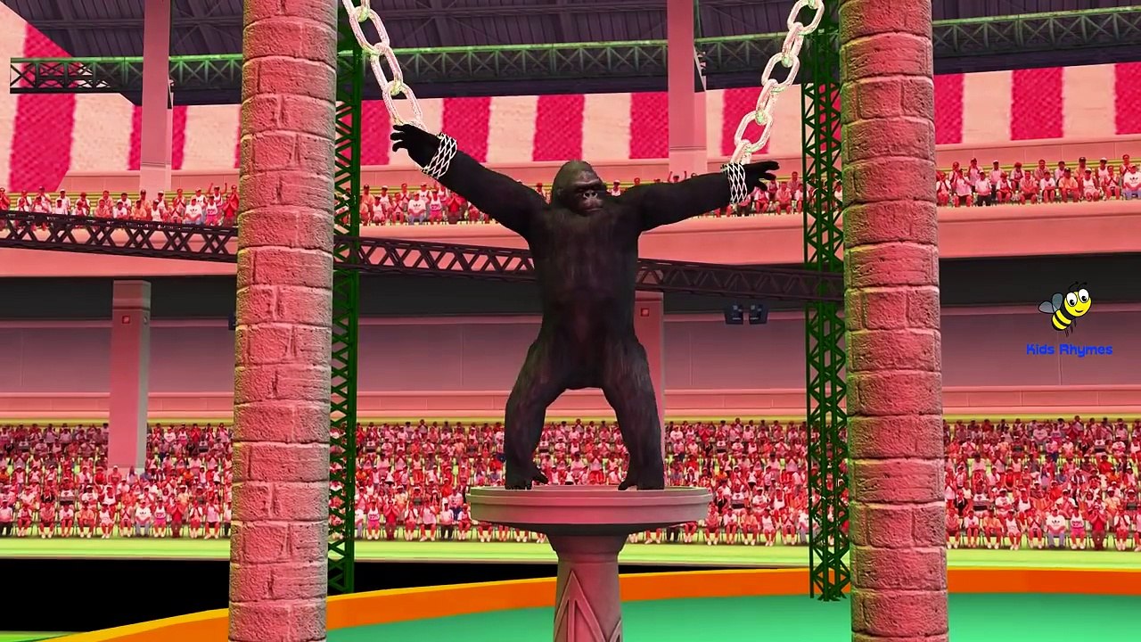 Animals Dinosaurs King Kong Finger Family Collection | Sea Animals Finger Family Nursery Rhymes
