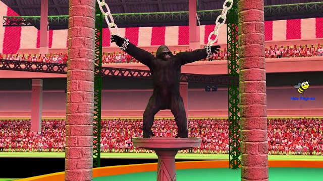 Animals Dinosaurs King Kong Finger Family Collection | Sea Animals Finger Family Nursery Rhymes