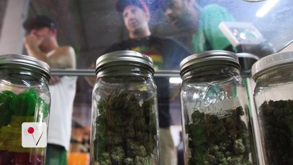 New Study Finds Marijuana Use May Weaken Your Heart