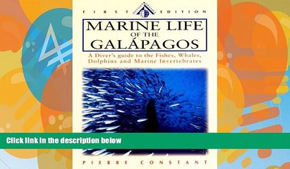 Buy NOW  Marine Life of the Galapagos: A Diver s Guide to the Fishes, Whales, Dolphins and Marine