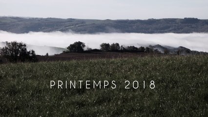 Teaser Jubilé de Platine Land Rover