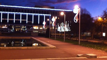 Les illuminations de Noël sont là !