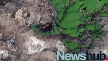 La increíble salvación de tres vacas tras un sismo en Nuevo Zelanda