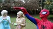 Elsa, Aurora, Spiderman and Batman are playing in the Woods - Superhero Friends & Villains