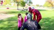 ➤ Venom vs Deadpool Battle ★ Venom vs Blue Spiderman ★ Spiderman & Spider Dog Prank Funny Superhero