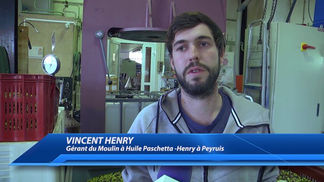 Alpes-de-Haute-Provence : La préparation de l'huile d'olives a commencé