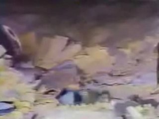 Abbacadabra - delivres