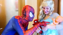 Spiderman & Frozen Elsa vs Spiderbaby Twins in Real Life ft Pink Spidergirl, Princess Anna Pregnant