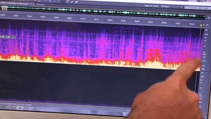 L'équipe de TVPI embarque pour une sortie d'Itsas Arima