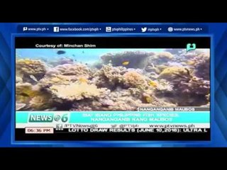 [News@6] Iba't-ibang Philippine Fish Species, nanganganib nang maubos  [06|11|16]