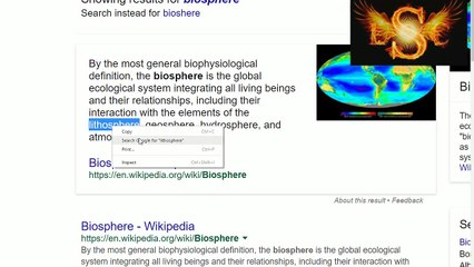 NASA Astronaut Tells Trump we are INSIDE a SPHERE (LSC Earth)