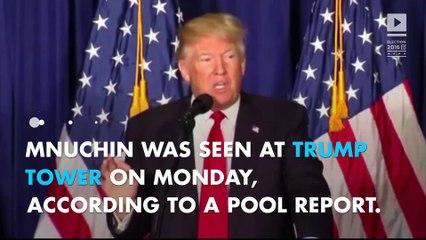 Trump’s top choice for treasury secretary revealed 