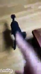 간식만 손에 있으면..!