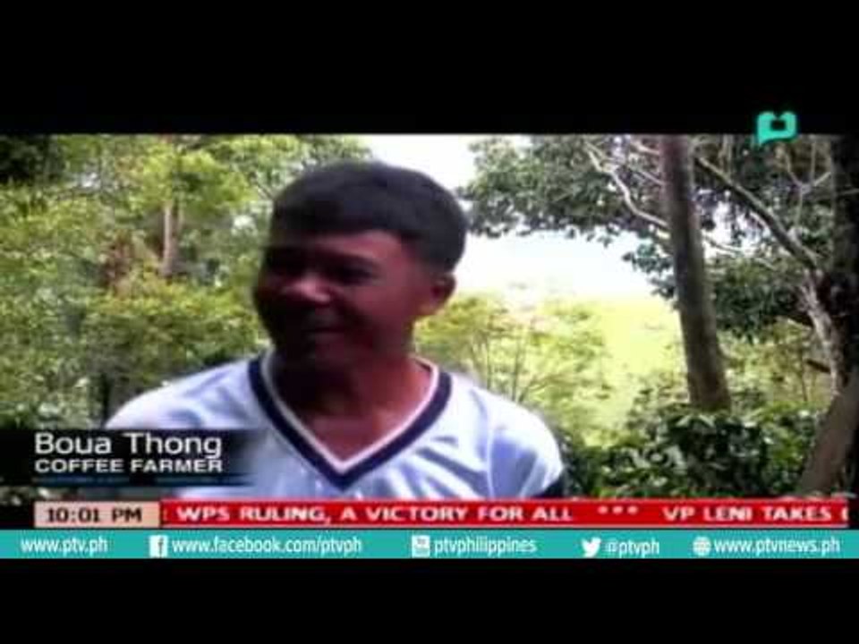 [PTVNews 9pm] Growing coffee in Laos Highlands, provides alternative to 'Opium Poppies'