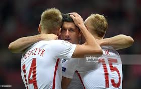 Łukasz Teodorczyk Super Equalizer Goal HD - Poland 1-1 Slovenia - 14.11.2016 HD