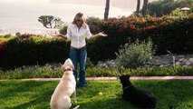 Soldier Turned Life Coach For Dogs And Their Celebrity Owners!