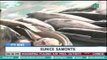 [PTVNews 6pm] Fish vendors sa Masinloc, apektado ng tesyon sa Panatag Shoal [07|20|16]