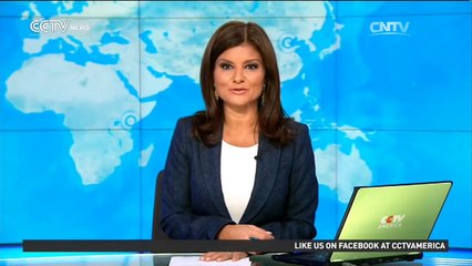 Panda twin cubs debut