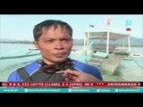 [PTVNews] Ilang kilometro ng karagatan, nilangoy ng lifeguard trainees [08|02|16]