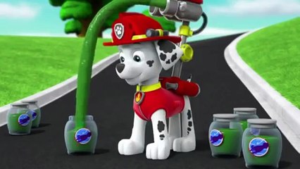 Paw Patrol - Pups Save Walinda NEW CLIP 2016