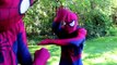 Spiderman & Frozen Elsa - Superheroes turn EVIL! Poison Ivy Spidergirl Superhero Fun in Real Life :)