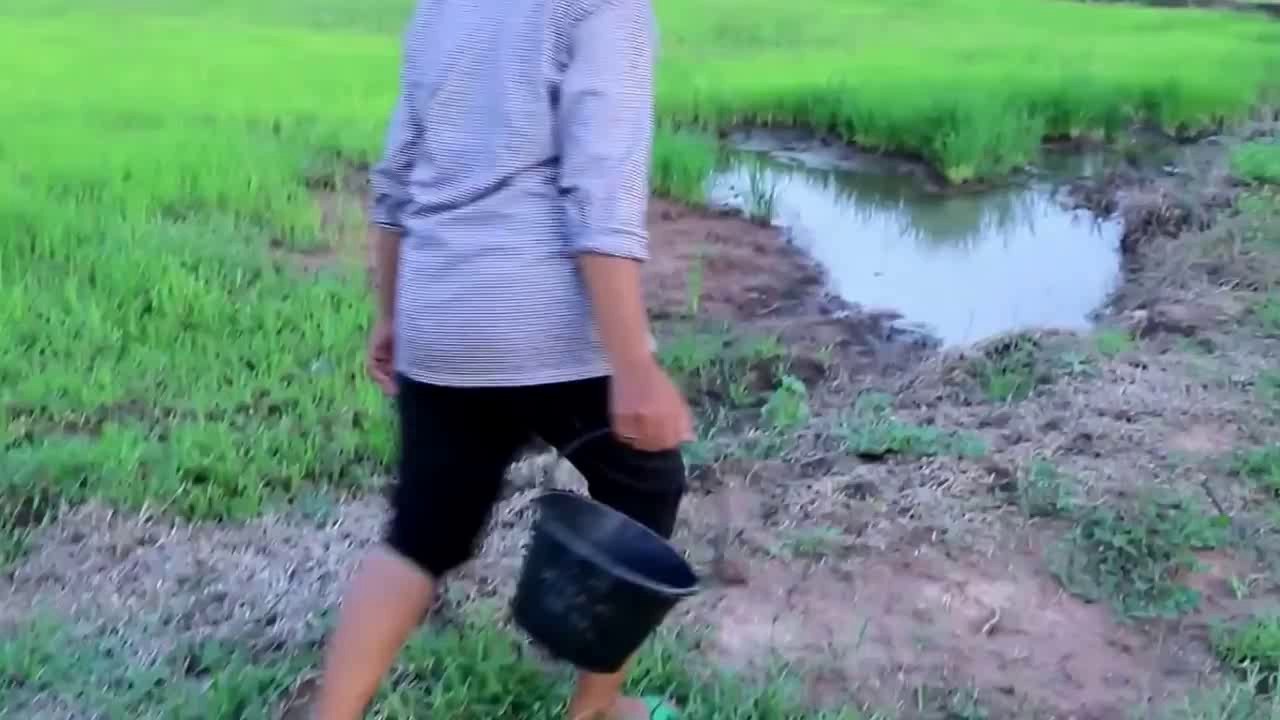 Amazing girl goes fishing alone at rice field in Cambodia