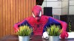 Spiderman vs Venom Jacuzzi Bath Time - Superhero Movie BathTime in Real Life