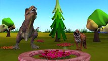 Animals Cartoons Ringa Ringa Roses Rhymes | Lion Tiger Dinosaurs King kong Nursery Rhymes