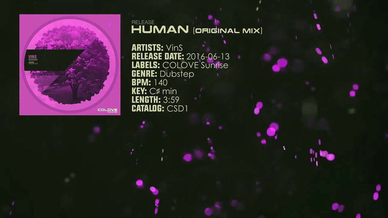 VinS - Human (Original Mix)