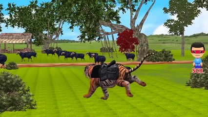 Tiger Finger Family Collection | Tiger Cartoons For babies | Tiger Nursery Rhymes For Children
