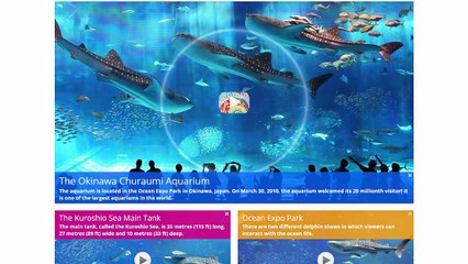 Videos for The Clever YouTube Plugin