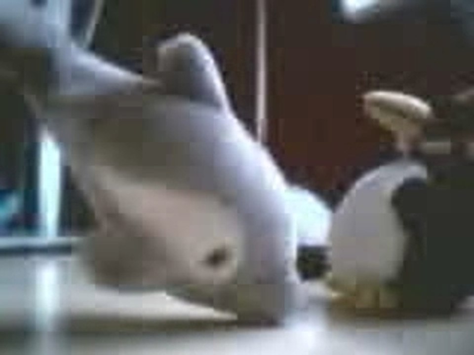 Pingy_PuissanceDemoniaque